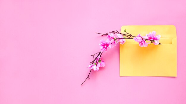 Blooming twig in envelope