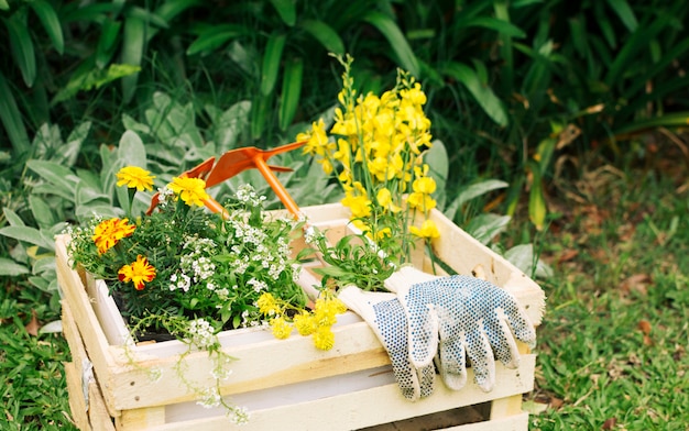 Blooms and garden equipment in wooden box