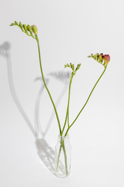 Бесплатное фото Цветущий цветок в вазе на столе
