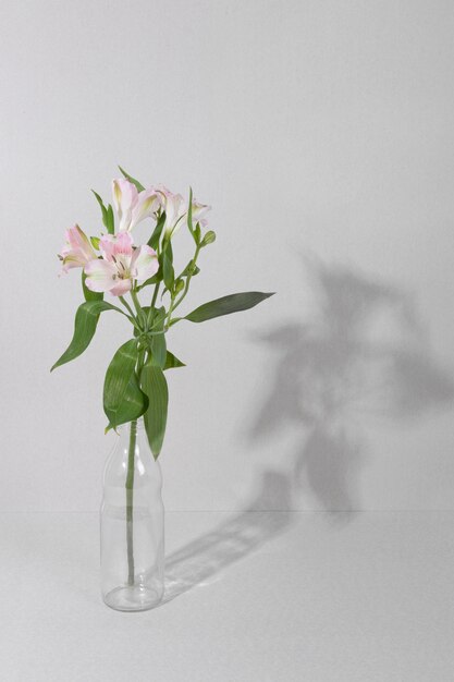 Blossom flower in vase on table