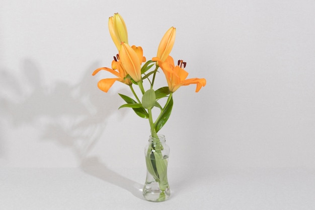 Blossom flower in vase on table