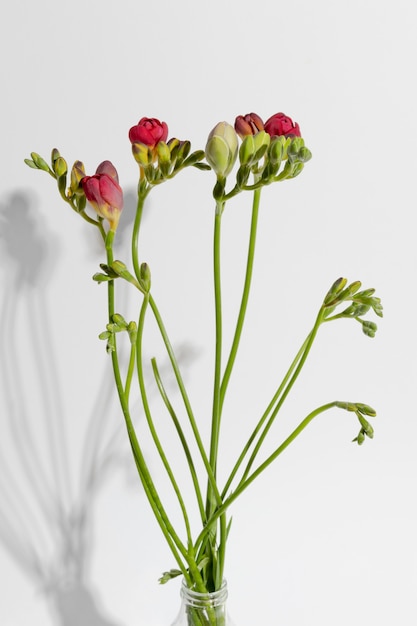 Blossom flower in vase on table