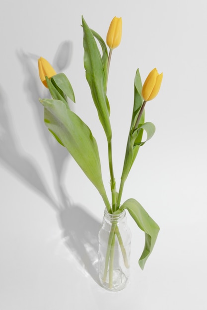 Blossom flower in vase on table