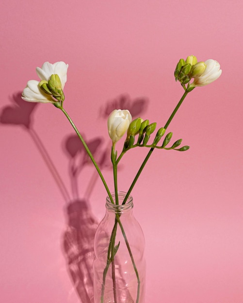 Blossom flower in vase on table