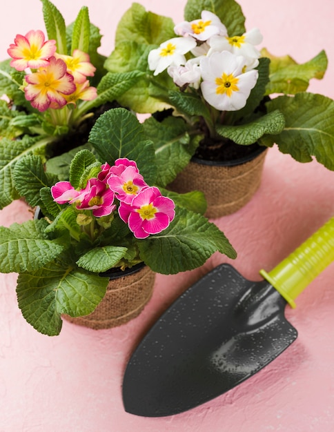 도구와 꽃 꽃 냄비