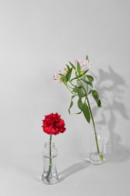 Free photo blossom flowers in vase on table