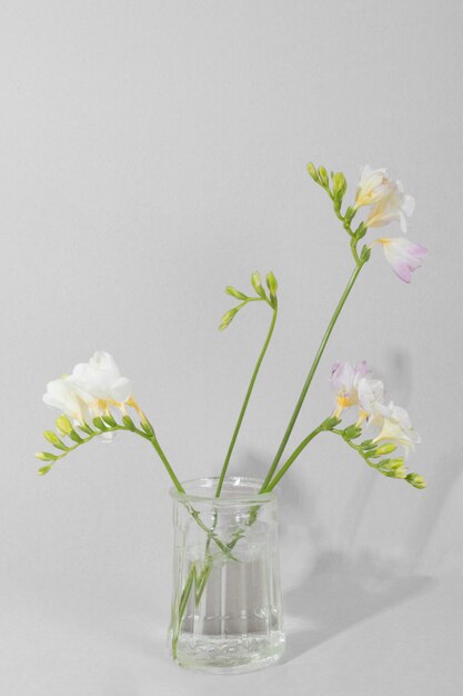 Blossom flowers in vase on table