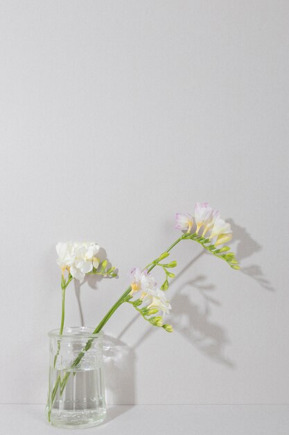 Blossom flowers in vase on table