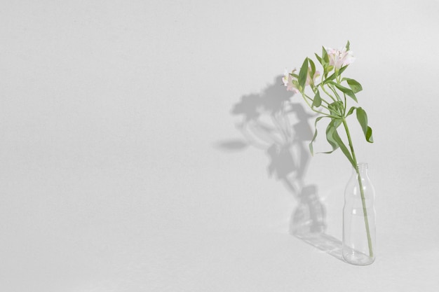 Blossom flowers in vase on table