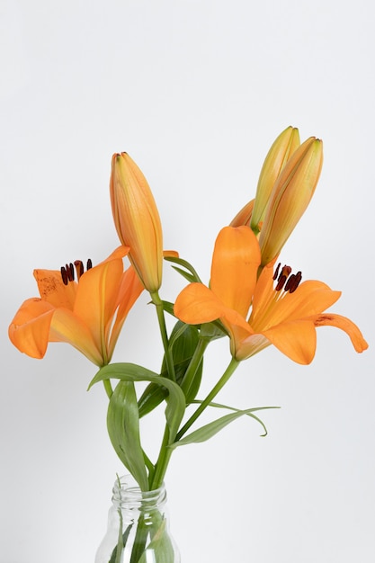 Blossom flowers in vase on table