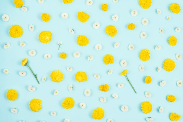 白と黄色の花で飾られた青い背景