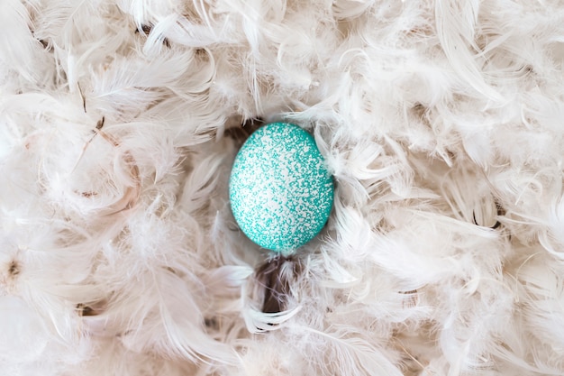 Foto gratuita uovo di gallina blu tra un mucchio di aculei
