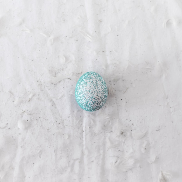 Free photo blue chicken egg near quills on textile