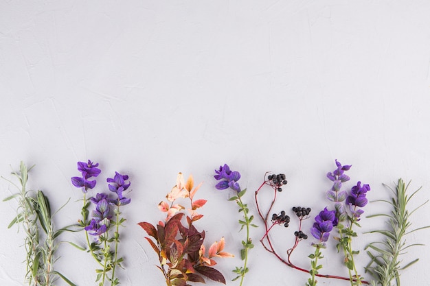 Blue flowers with plant branches on table