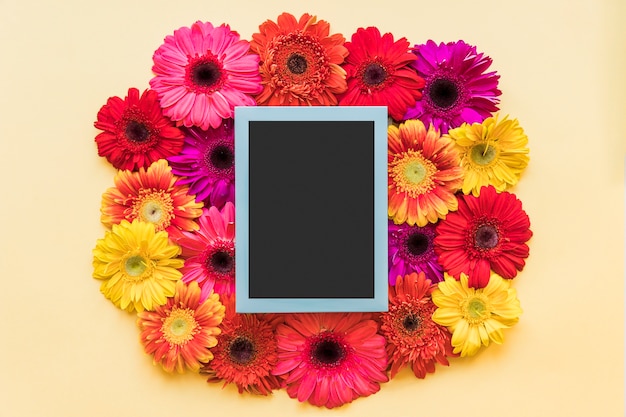 Blue frame in bright flowers