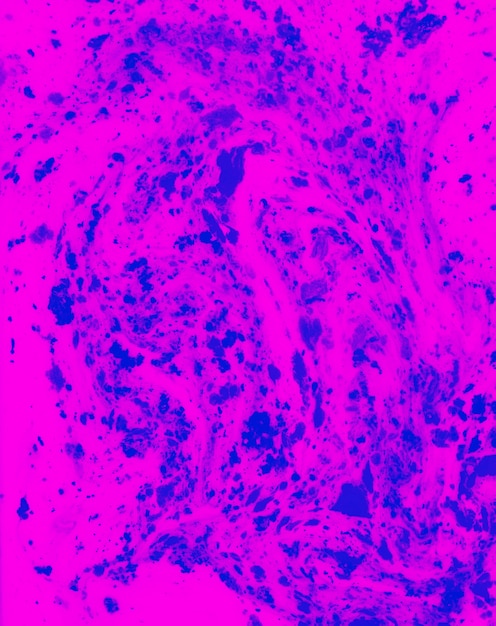 분홍색 액체 배경에 혼합 된 블루 홀리 컬러 파우더