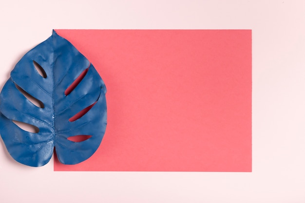 Free photo blue leaf on pink background mock-up