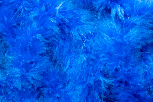 Free photo blue monday concept composition with feathers