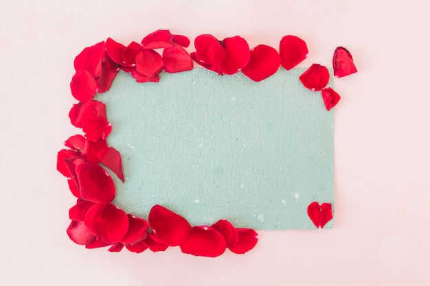 Free photo blue paper and red flower petals