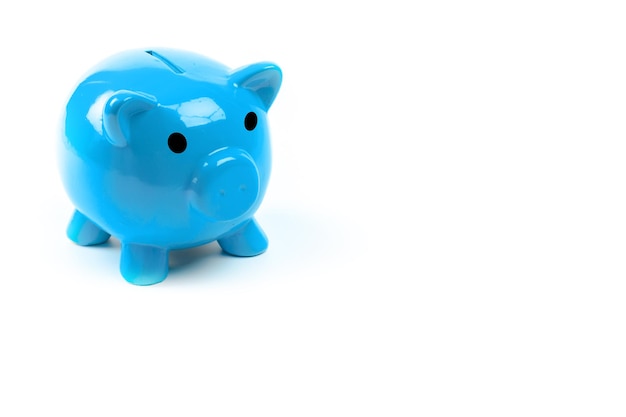 Blue piggy bank or money box