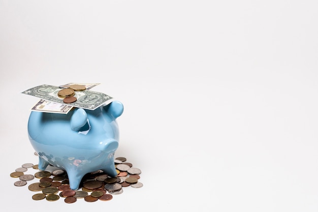 Blue piggy bank with money and coins Free Photo