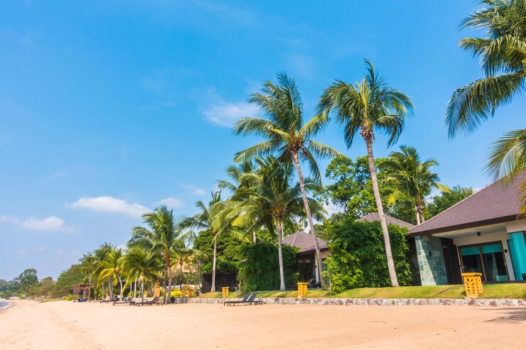 ฟรี Photo blue sea coconut palms sky