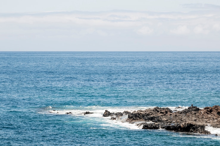 無料Photo 岩が多い沿岸の青い海