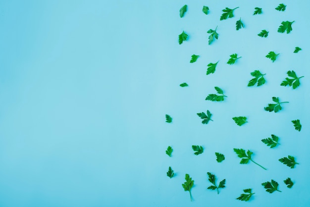 Blue surface with parsley