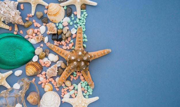 Blue surface with starfish and seashells