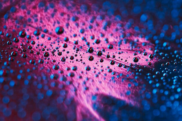 Blue water droplets on pink textured background