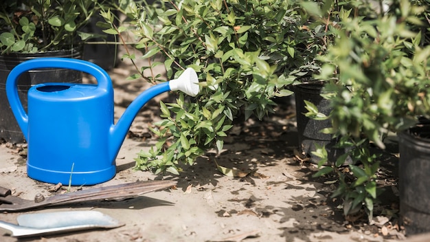 Free photo blue watering can near plants growing in greenhouse