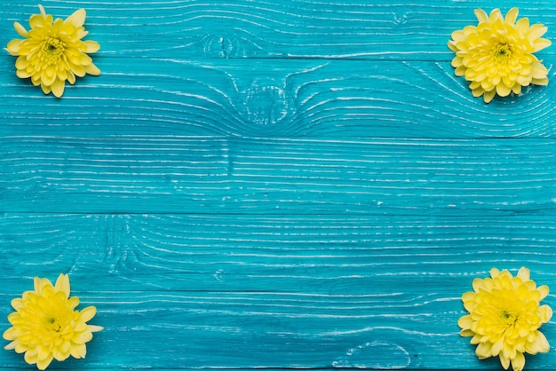 Blue wooden background with four flowers