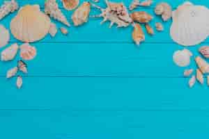 Free photo blue wooden surface with fantastic seashells