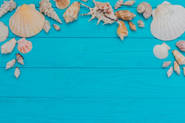 Blue wooden surface with fantastic seashells