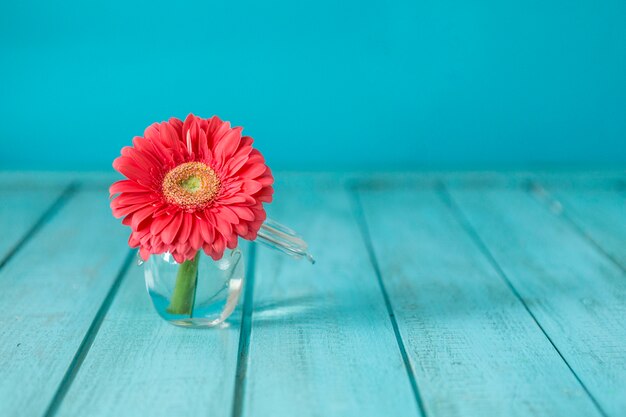 Blue wooden surface with pretty flower