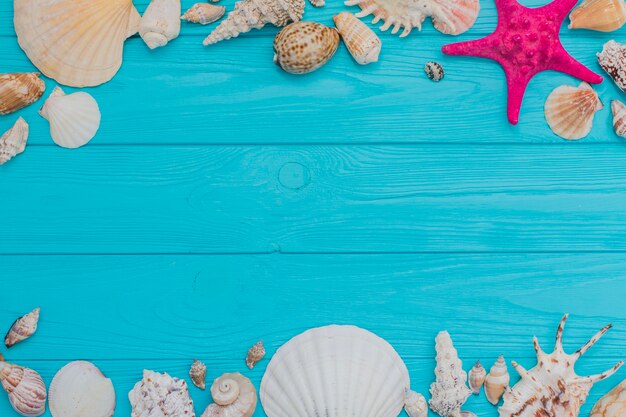 Blue wooden surface with seashells and blank space for messages