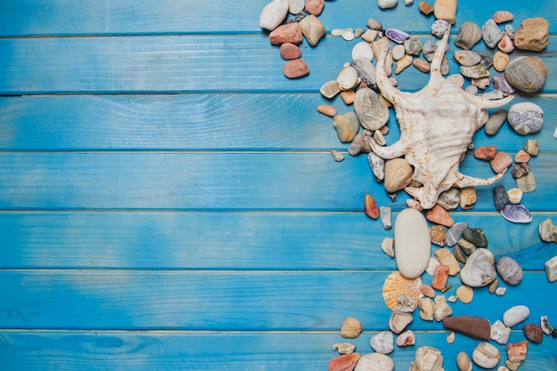 Foto gratuita superficie blu in legno con varietà di conchiglie