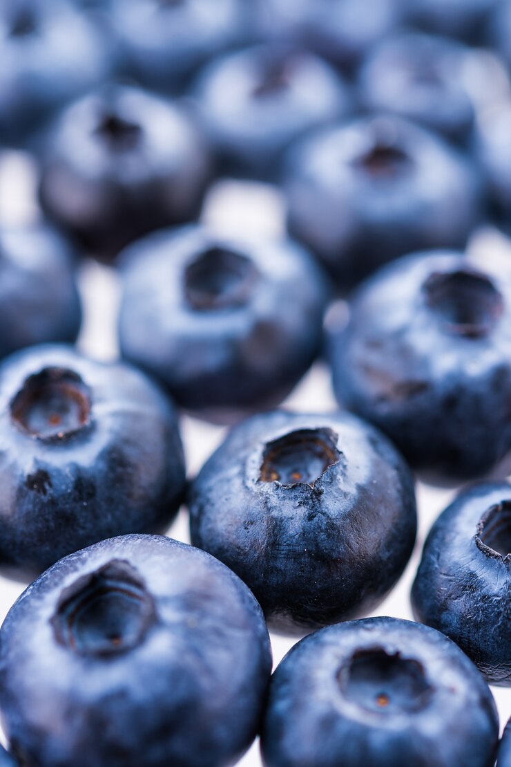 Free Photo blueberries close up