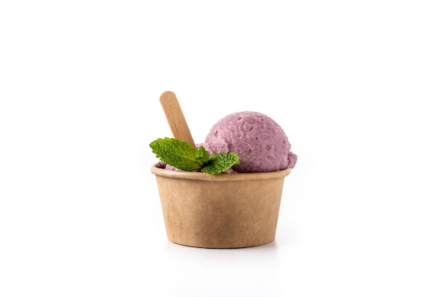 Blueberry ice cream scoop