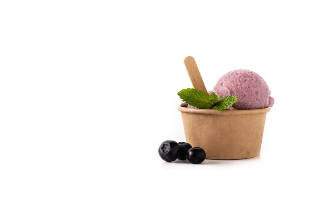 Blueberry ice cream scoop