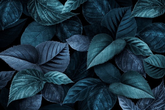 青みがかった植物の葉テクスチャ背景