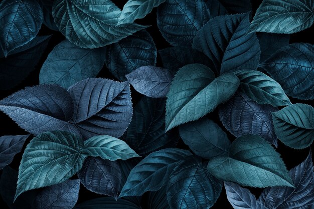 青色の植物の葉のテクスチャの背景