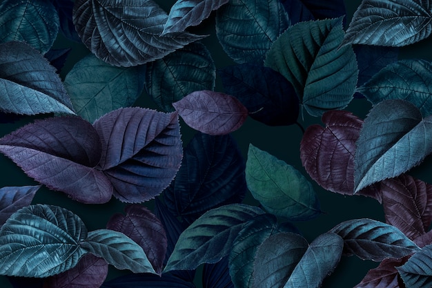 Free photo bluish plant leaves textured