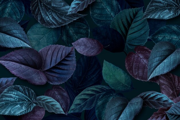 Текстурированные голубоватые листья растений
