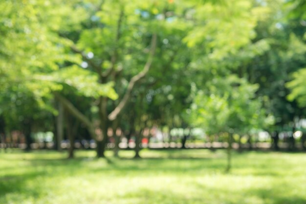 bokeh太陽の光の抽象的な背景と自然の緑の公園をぼかします。旅行の冒険と環境コンセプトのスペースをコピーします。ビンテージトーンフィルターカラースタイル。