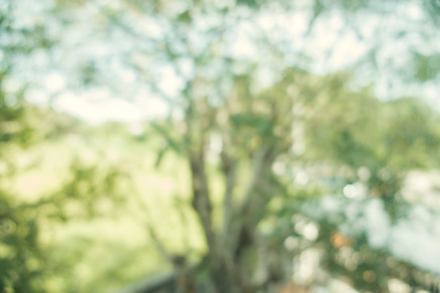 Free Photo blurred background : abstract nature green blurred background with bokeh. spring season. vintage filtered image.