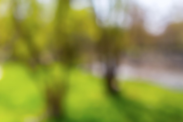 Blurred Garden Background Images - Free Download on Freepik