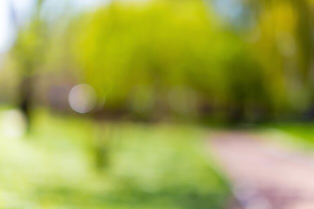 Blurred park, vibrant green natural background