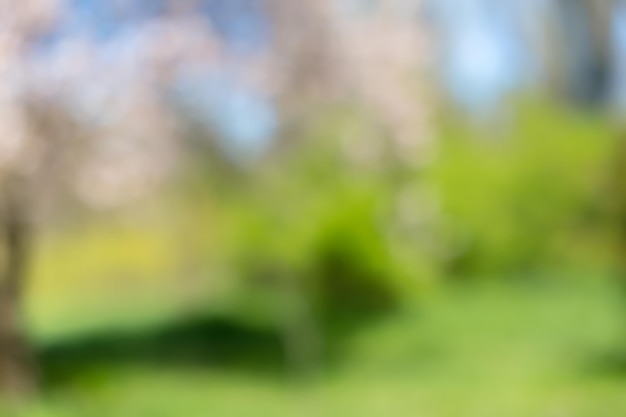 Blurred park vibrant green natural background