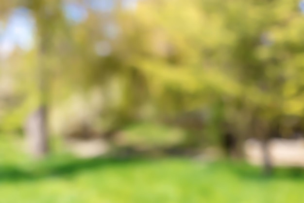 Free photo blurred park vibrant green natural background